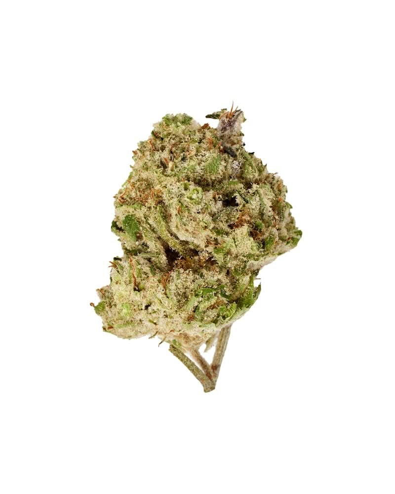Tangie THX