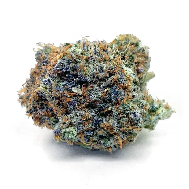 Super Amnesia HHX