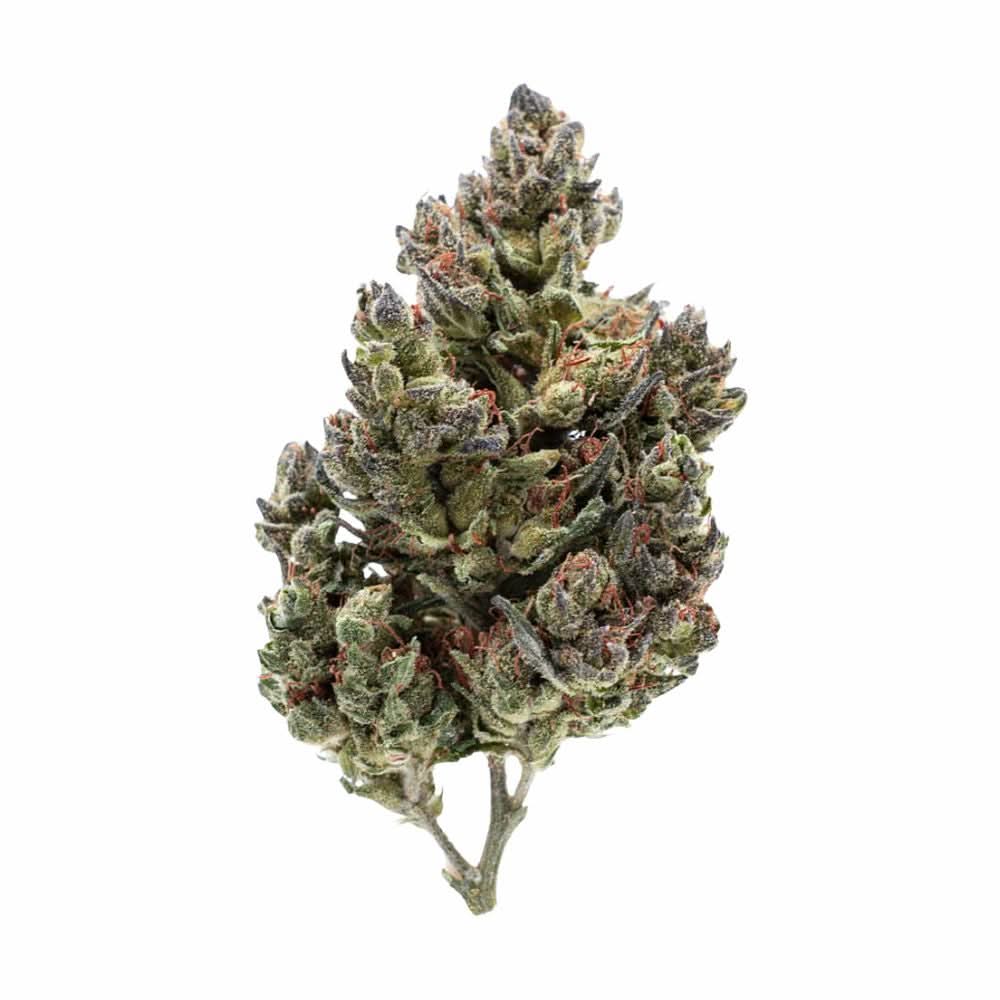 Purple CBD+ 27%
