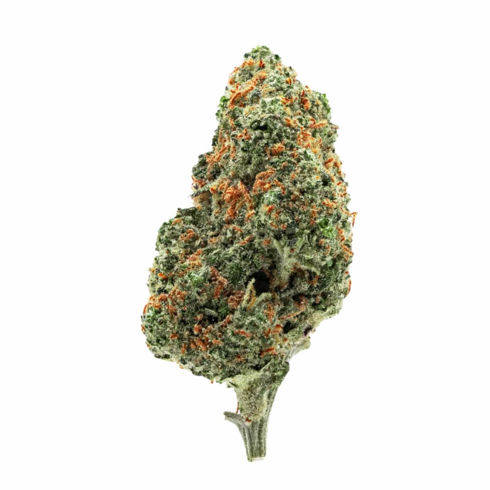 Plutonium CBD+ 24%