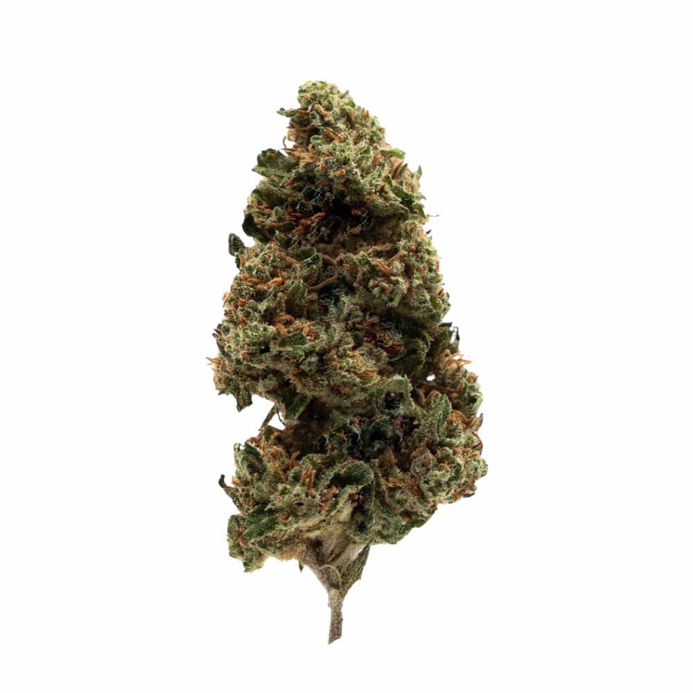 Water Melon CBD+ 24%