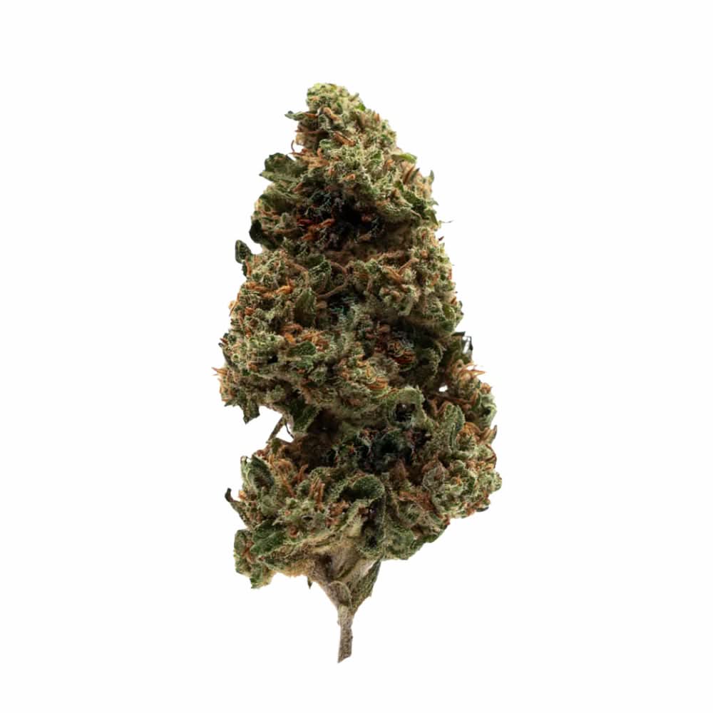 Water Melon CBD+ 24%