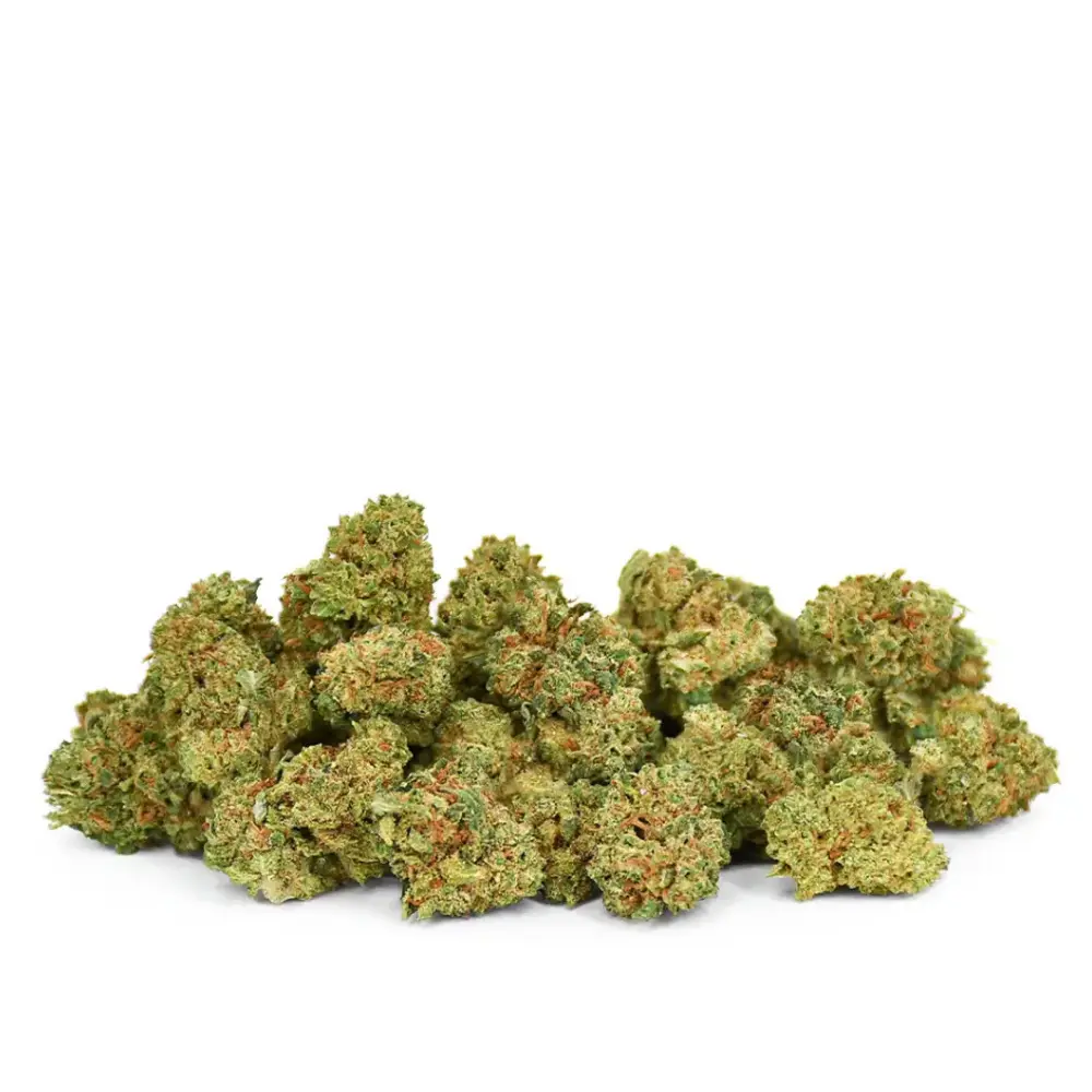 Small Gelato HHX