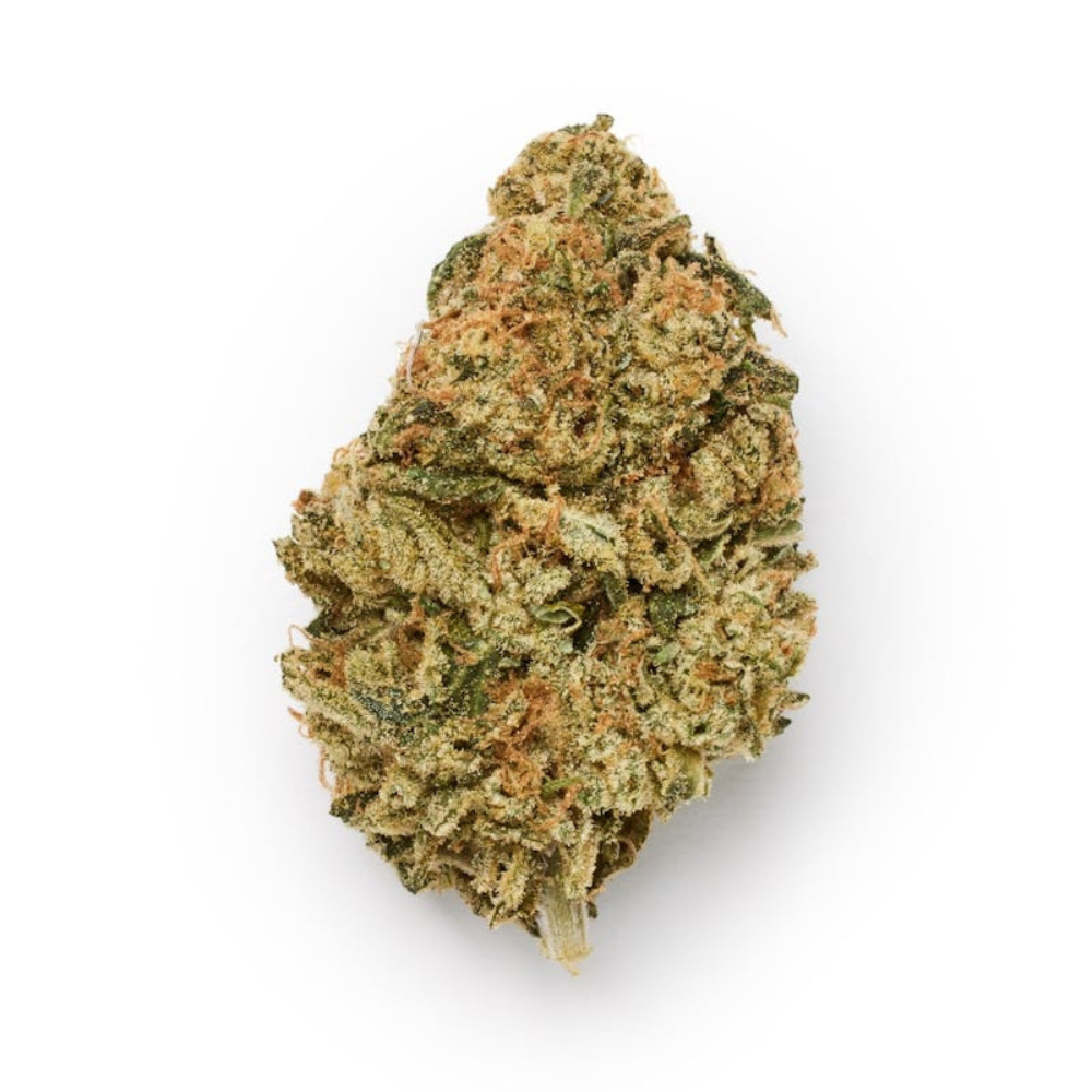 Gorilla Cookies THX